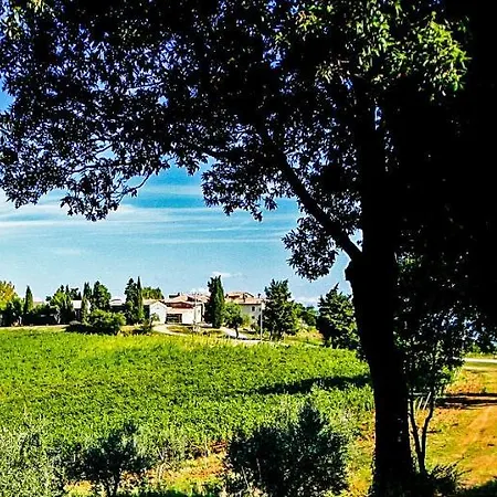 Apartment Fattoria La Torre