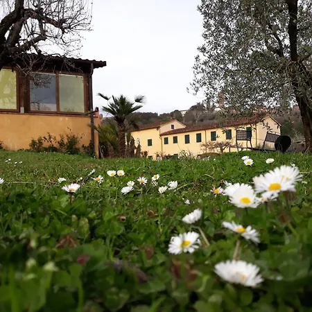 Hotel La Torre Wine