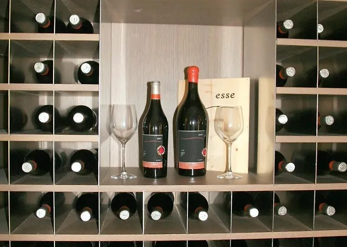 Hotel La Torre Wine 4*
