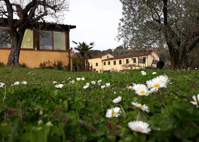 Hotel La Torre Wine